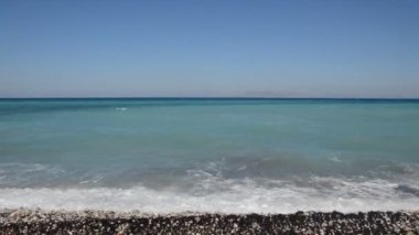 Yunanistan 'ın Rodos adasında palmiye ağacı yetişiyor