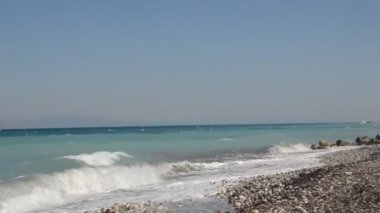 Yunanistan 'ın Rodos adasında palmiye ağacı yetişiyor