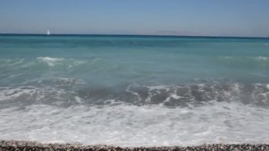 Yunanistan 'ın Rodos adasında palmiye ağacı yetişiyor