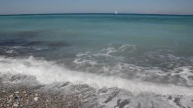 Yunanistan 'ın Rodos adasında palmiye ağacı yetişiyor