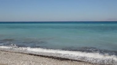 Yunanistan 'ın Rodos adasında palmiye ağacı yetişiyor