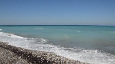 Yunanistan 'ın Rodos adasında palmiye ağacı yetişiyor