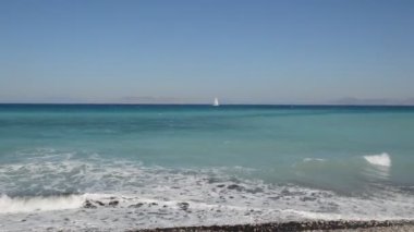 Yunanistan 'ın Rodos adasında palmiye ağacı yetişiyor