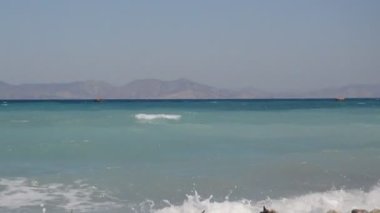 Yunanistan 'ın Rodos adasında palmiye ağacı yetişiyor