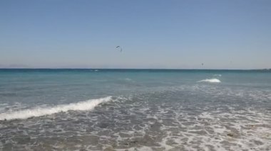 Yunanistan 'ın Rodos adasında palmiye ağacı yetişiyor