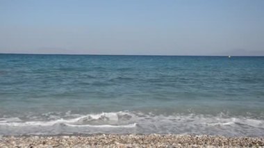 Yunanistan 'ın Rodos adasında palmiye ağacı yetişiyor