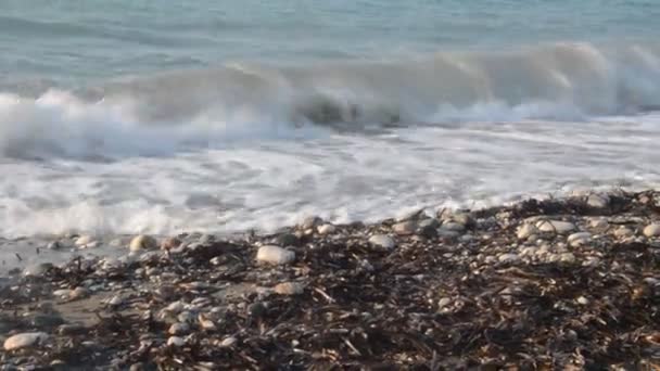 Surfe Mar Egeu Ilha Rodes Grécia — Vídeo de Stock