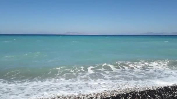 Palm Tree Grows Island Rhodes Greece — Stock Video