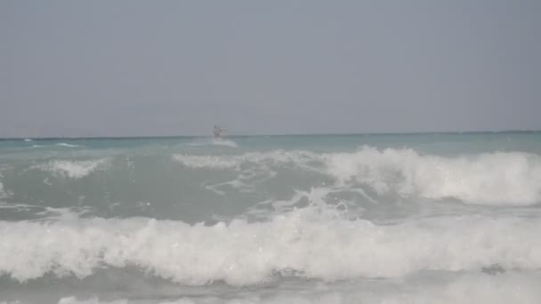 Palmier Pousse Sur Île Rhodes Grèce — Video