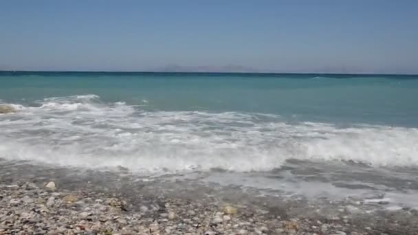 그리스의 로도스 섬에서 자라는 야자나무 — 비디오