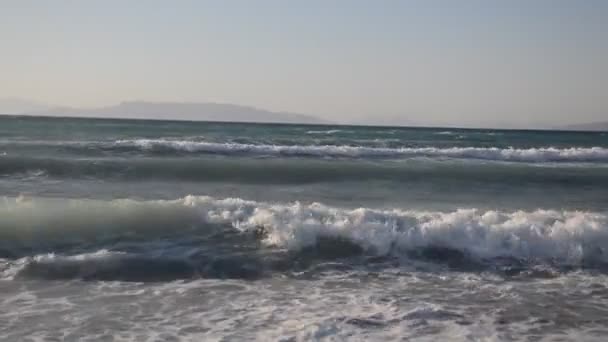 Palmboom Groeit Het Eiland Rhodos Griekenland — Stockvideo