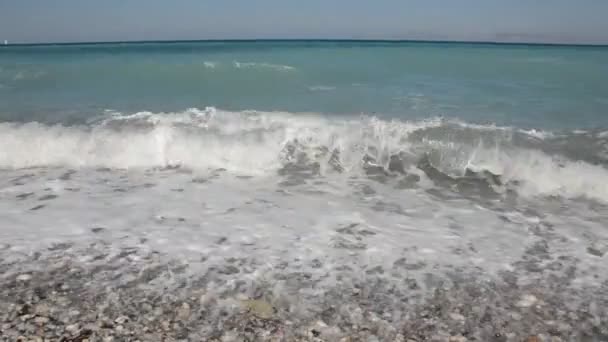 Palme Wächst Auf Der Griechischen Insel Rhodos — Stockvideo