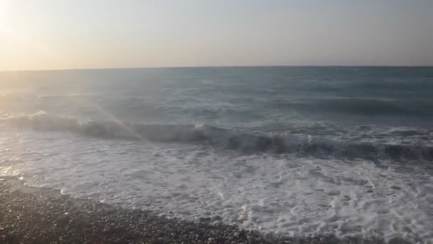 Φοινικόδεντρα Αναπτύσσεται Στο Νησί Της Ρόδου Στην Ελλάδα — Αρχείο Βίντεο