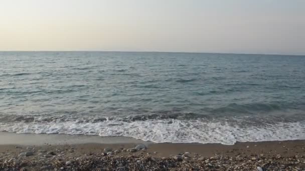 Palme Wächst Auf Der Griechischen Insel Rhodos — Stockvideo