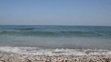 Yunanistan 'ın Rodos adasında palmiye ağacı yetişiyor