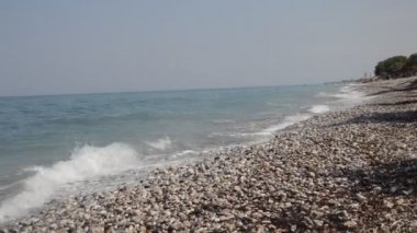 Yunanistan 'ın Rodos adasında palmiye ağacı yetişiyor