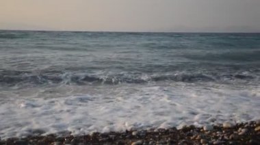 Yunanistan 'ın Rodos adasında palmiye ağacı yetişiyor