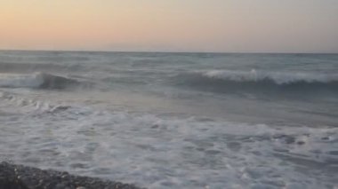 Yunanistan 'ın Rodos adasında palmiye ağacı yetişiyor