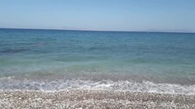 Yunanistan 'ın Rodos adasında palmiye ağacı yetişiyor