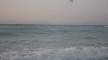 Yunanistan 'ın Rodos adasında palmiye ağacı yetişiyor