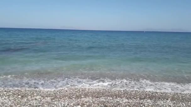 Φοινικόδεντρα Αναπτύσσεται Στο Νησί Της Ρόδου Στην Ελλάδα — Αρχείο Βίντεο