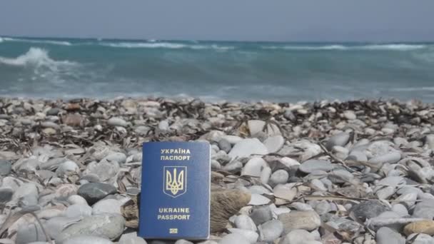 Passaporto Internazionale Cittadino Dell Ucraina Viaggio — Video Stock