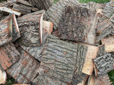 Ahşap parçaları kesen kişi, odun yakmak için küçük odunlara obapol.