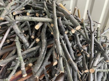 Ağaç dallarını düzgünce dışarı yığılmış bir yığın halinde kes.