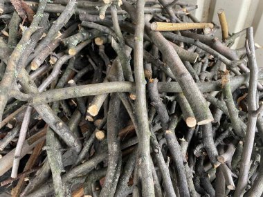 Ağaç dallarını düzgünce dışarı yığılmış bir yığın halinde kes.