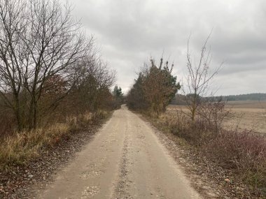 Sakin bir köy boyunca uzanan huzurlu bir kırsal toprak yol, basit evler, bitki örtüsü ve açık kırsal alanla çevrili.