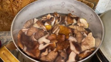 Tencerede bal mantarı kaynıyor.