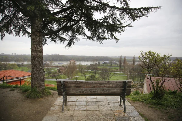Jeden stary ławce z widokiem na miasto i wiecznie zielone drzewo — Zdjęcie stockowe
