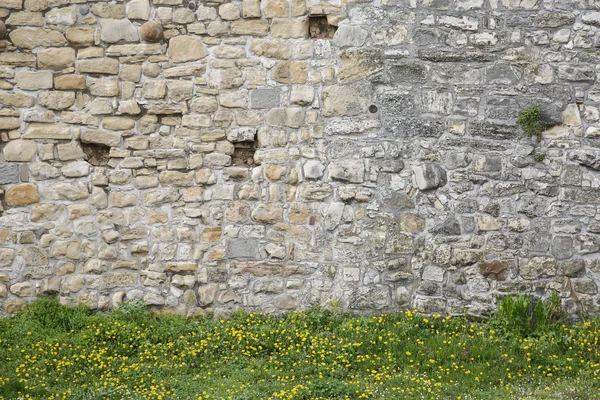 Vieux mur de pierre blanche avec espace de copie en duvet d'herbe — Photo