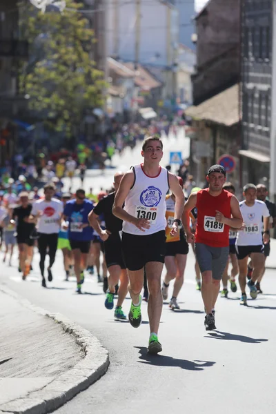 Ulica biegaczy w 29 maraton Belgrad — Zdjęcie stockowe