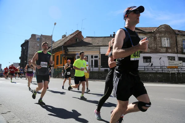 Уличные бегуны на 29-м Белградском марафоне — стоковое фото