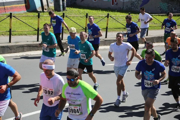 Pouliční běžců na 29 Bělehradu maraton — Stock fotografie