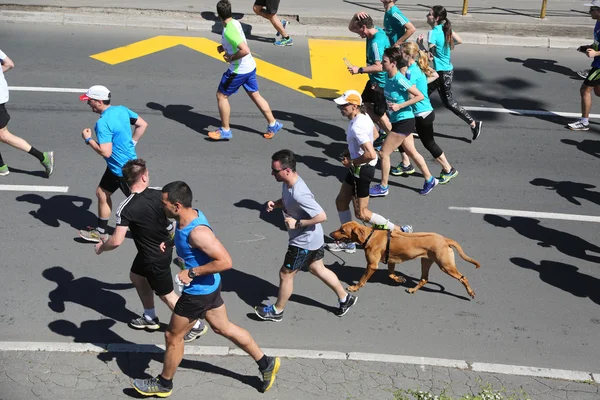 Pouliční běžců na 29 Bělehradu maraton — Stock fotografie