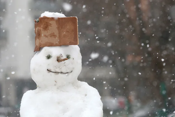 Divertente pupazzo di neve nel parco con tappo in cartone — Foto Stock