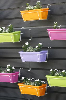 tencerede duvar çiçek