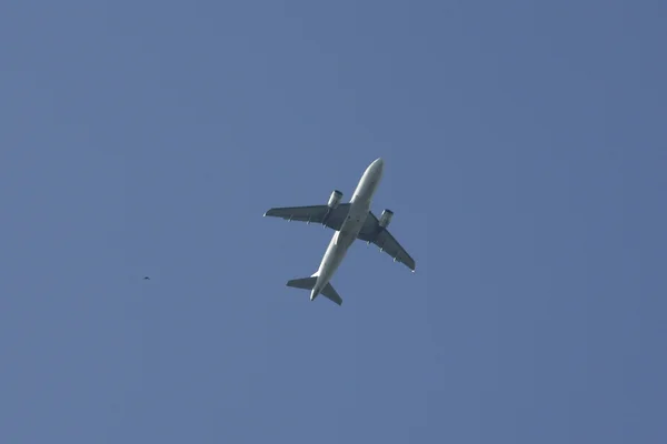 Avião com Aves e Céu Azul — Fotografia de Stock