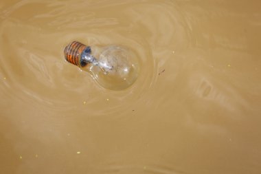 Eski ampul nehre atılan