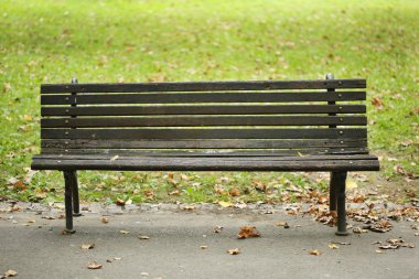 Boş eski Park bankında ve düşen sonbahar yaprakları