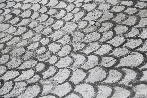 Drawn Fish Gills on Asphalt — Stock Photo, Image