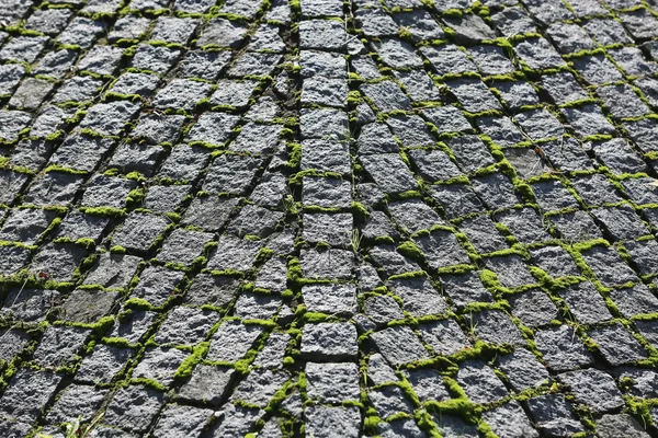 De ongebruikelijke vorm van de kasseien in drie takken — Stockfoto