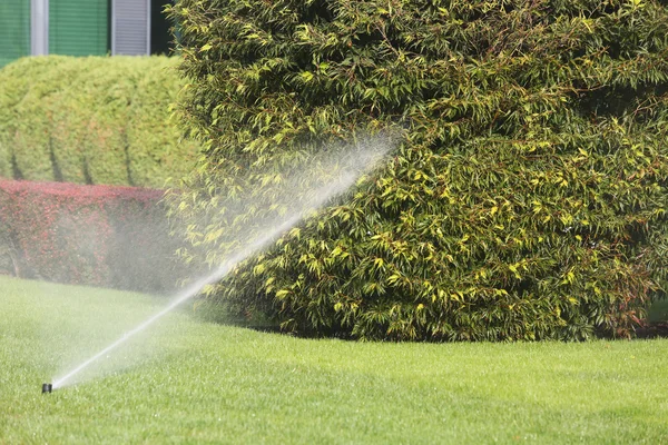 Gartenarbeit. Rasensprenger sprüht Wasser über grünes Gras im Garten — Stockfoto