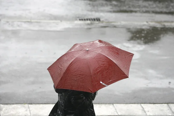 Donna con un ombrello cammina sotto la pioggia — Foto Stock