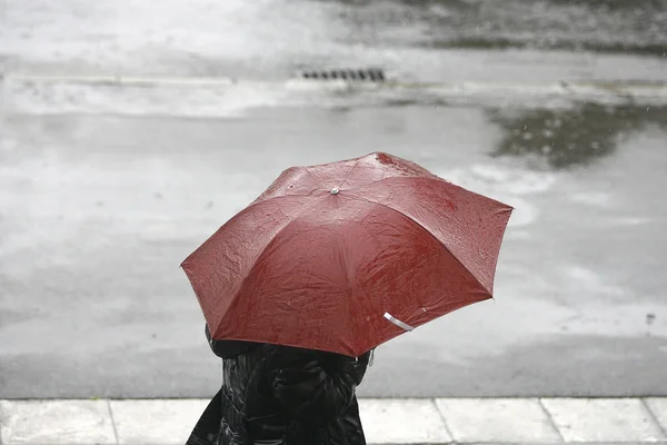 雨の中で傘を持った女性が歩く ストックフォト