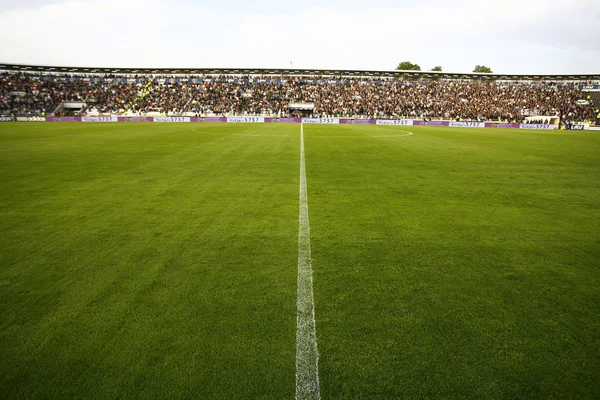 Red Star Partizan futbol maçı