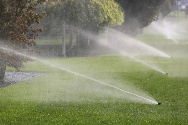 Irrigation System Watering the Trees Automatically — Stock Photo, Image