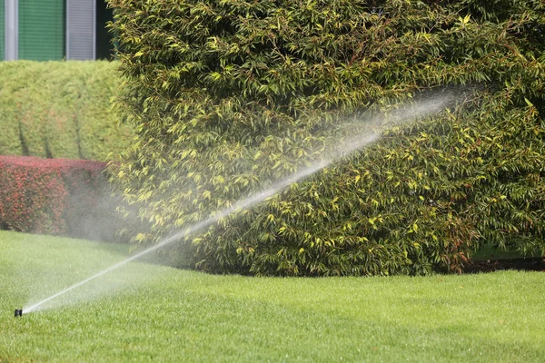 自動的に庭の水やり灌水システム ロイヤリティフリーのストック画像
